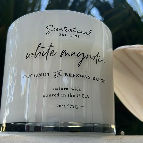 Scentsational Accents Scentsational Candle White Magnolia